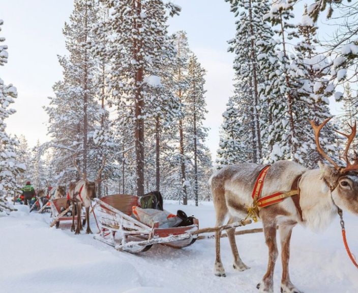 Pažintinė kelionė į Laplandiją ir susitikimas su tikruoju Kalėdų seneliu!