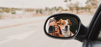 Kelionės su augintiniais: ką svarbu žinoti? 🐕🐈