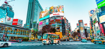 Kada yra geriausias laikas kelionei į Japoniją? 🇯🇵