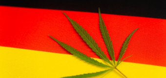 Kanapių legalizavimas: kelionė į Berlyną tapo nauju „trendu“💨