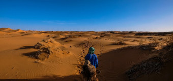 Marsa Alam – vienas populiariausių Egipto kurortų 🐪