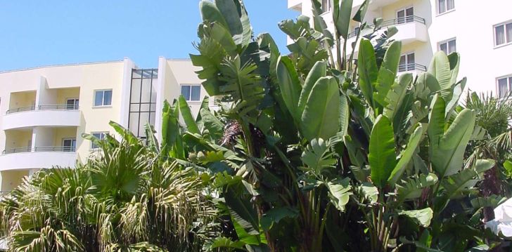 Apsistokite SUITE HOTEL JARDINS D‘AJUDA viešbutyje už gerą kainą.