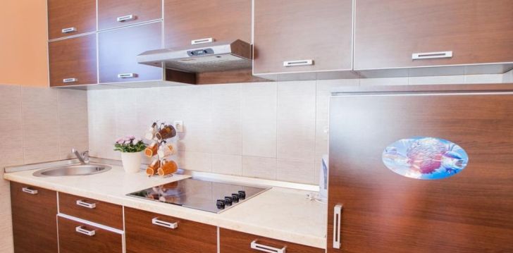 nepraleisk progos pailsėti už gerą kainą - viešbutyje APARTMENTS AZUR