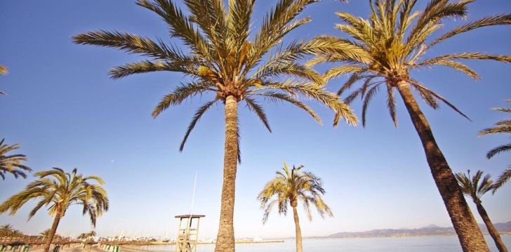 planuoji kelionę į Ispanija? apsistokite 3 viešbutyje MLL PALMA BAY CLUB RESORT.