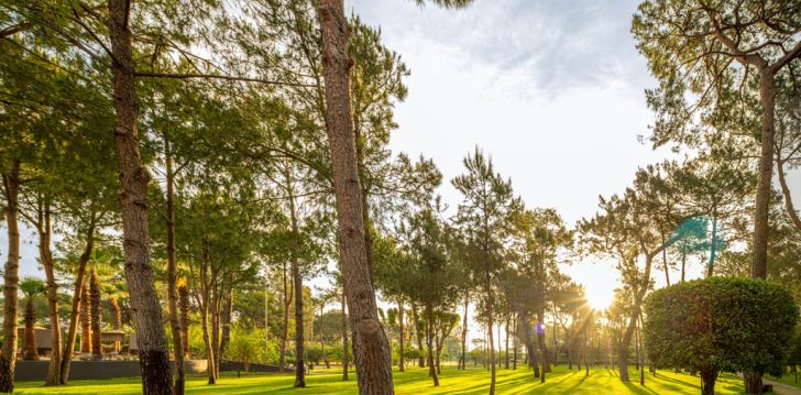Apsistokite BALMY FORESTA viešbutyje už gerą kainą.