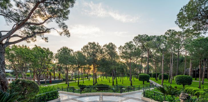 Geras kainos ir kokybės santykis atostogoms - viešbutis BALMY FORESTA