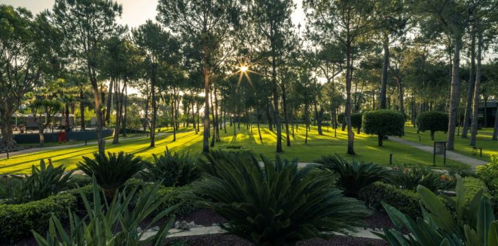 Patogus viešbutis jūsų kelionei – 5* BALMY FORESTA