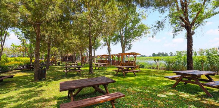 Tavo atostogos prasideda viešbutyje CRYSTAL PARAISO VERDE