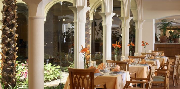 Viešbutis BARON PALMS RESORT (ADULTS ONLY 16+) įsikūręs Egiptas.