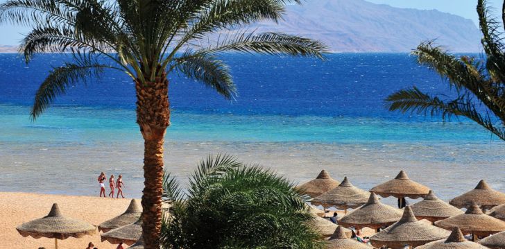 Nepraleisk progos pailsėti už gerą kainą - viešbutyje BARON PALMS RESORT (ADULTS ONLY 16+)