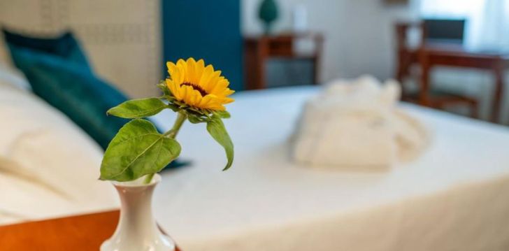 Apgyvendinimas 4* HOTEL VECCHIO BORGO