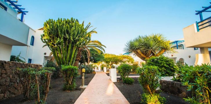 Geras kainos ir kokybės santykis atostogoms - viešbutis PARADISE ISLAND