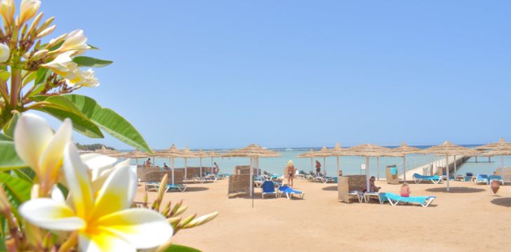 Geras kainos ir kokybės santykis atostogoms - viešbutis JASMINE PALACE