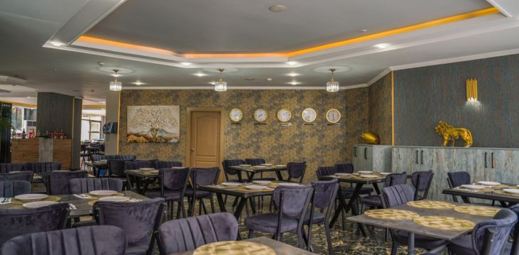 Nepraleisk progos pailsėti už gerą kainą - viešbutyje GRAND ALISA HOTEL (EX ROYALISA HOTEL)