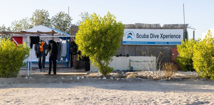 Tavęs laukia poilsis Egiptas įsikūrusiame BLISS NADA BEACH RESORT (EX. HOTELUX JOLIE BEACH)