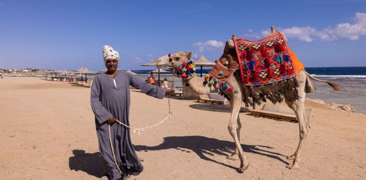 BLISS NADA BEACH RESORT (EX. HOTELUX JOLIE BEACH) - klientų vertinamas, kaip geras kainos ir kokybės santykis.