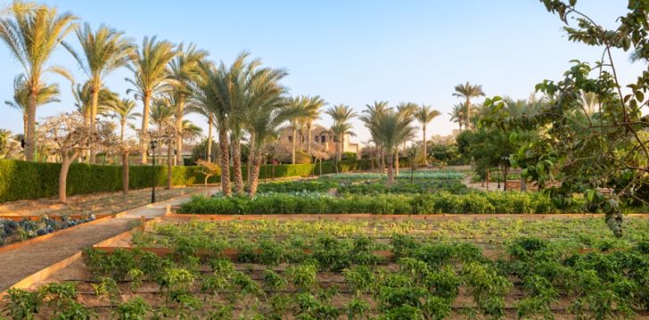 Jaukus viešbutis MOVENPICK RESORT EL QUSEIR, jūsų atostogoms