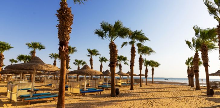 Nepraleisk progos pailsėti už gerą kainą - viešbutyje AMWAJ BEACH CLUB ABU SOMA (ex.Pickalbatros Beach Club Abu Soma)