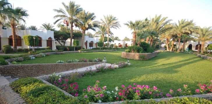 Šiluma alsuojančios atostogos Egipte 4* viešbutyje ZYA REGINA RESORT & AQUA PARK! 2