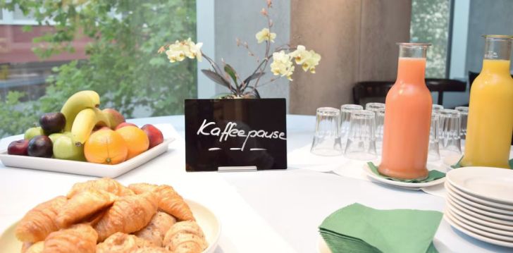 Atostogos Šveicarija – apsistokite viešbutyje PLACID HOTEL ZURICH