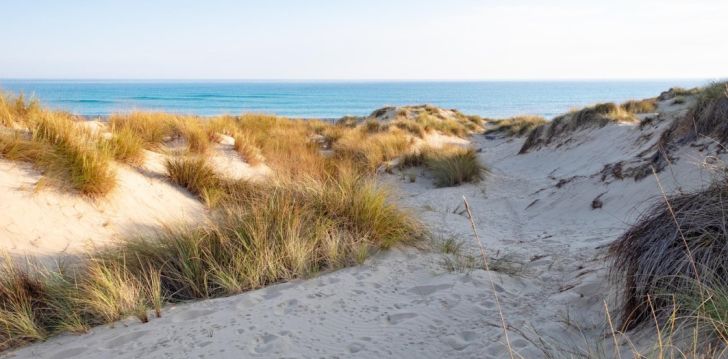 Planuoji kelionę į Ispanija? apsistokite 4 viešbutyje VIVA CALA MESQUIDA RESORT & SPA.