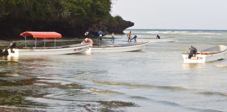 Nepraleisk progos pailsėti už gerą kainą - viešbutyje BELLA VISTA RESORT ZANZIBAR