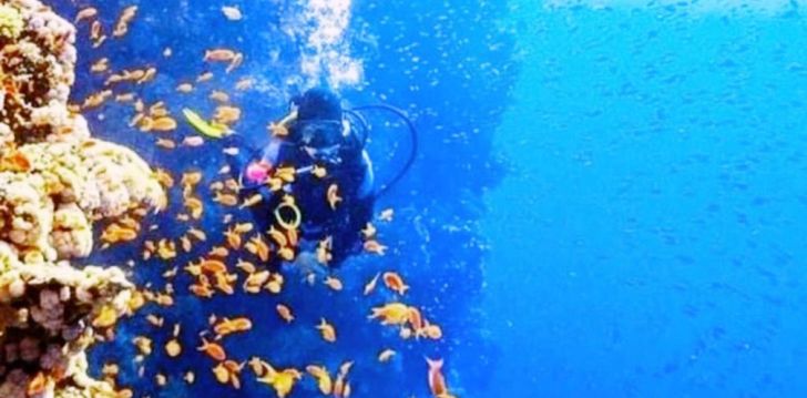Nepraleisk progos pailsėti už gerą kainą - viešbutyje GEISUM BEACH RESORT