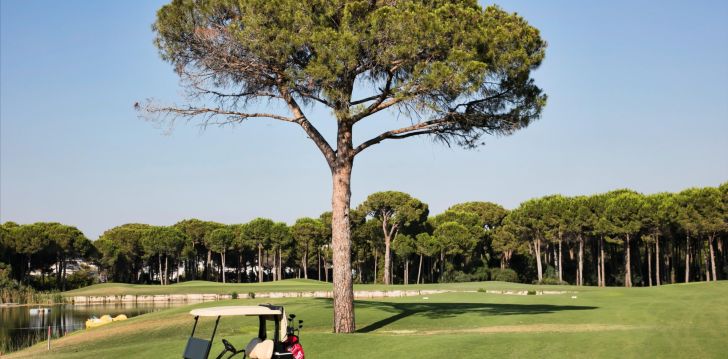 apsistokite MAXX ROYAL BELEK GOLF RESORT viešbutyje už gerą kainą.