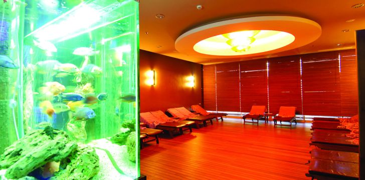 Tavęs laukia poilsis Turkija įsikūrusiame ALAIYE RESORT & SPA