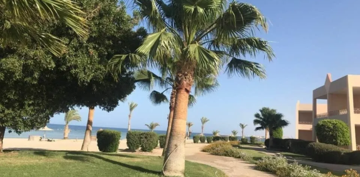 Viešbutis SHONI BAY RESORT įsikūręs Egiptas.
