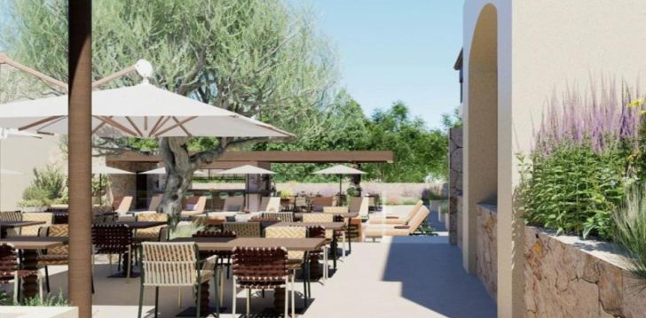 CACTUS VILLAGE - klientų vertinamas, kaip geras kainos ir kokybės santykis.