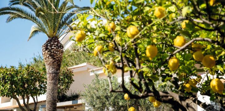 Tavo atostogos prasideda viešbutyje BAIA DEL SOLE RESORT