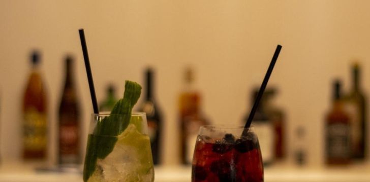Viešbutis THE ELEONAS BOHOTEL įsikūręs Graikija. 