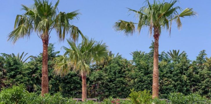 Patogus viešbutis jūsų kelionei – 4* ZEUS HOTELS YDORIA RESORT