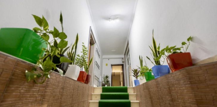 Planuoji kelionę į Albanija? apsistokite 3 viešbutyje PALM SUITES.