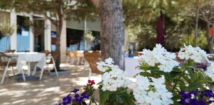 Jaukus viešbutis HOTEL EDART, jūsų atostogoms