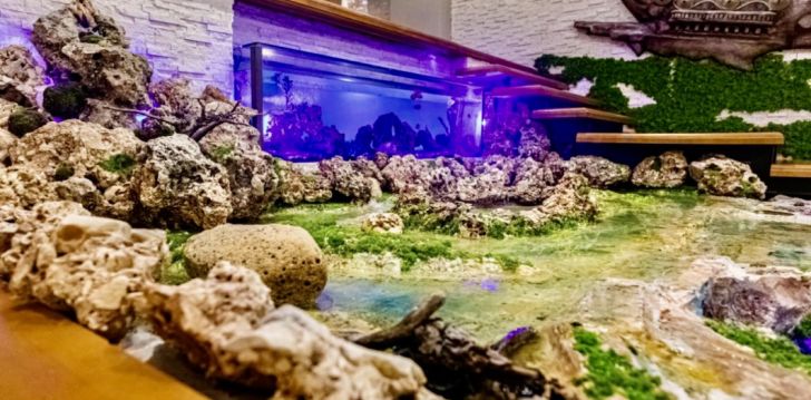 Patogus viešbutis jūsų kelionei – 4* KRAAL HOTEL