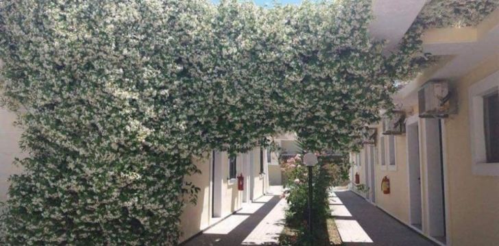 Geras kainos ir kokybės santykis atostogoms - viešbutis MONIKA HOTEL