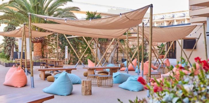 TENT PALMANOVA - klientų vertinamas, kaip geras kainos ir kokybės santykis. 