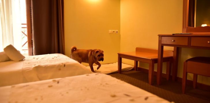 MONT HELMOS HOTEL - klientų vertinamas, kaip geras kainos ir kokybės santykis. 