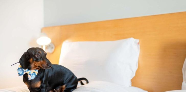 Patogus viešbutis jūsų kelionei – 3* IBIS RIO PORTO ATLANTICO