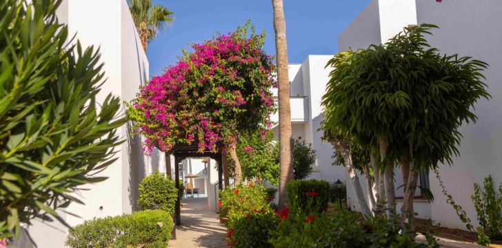 Viešbutis KAPETANIOS AQUA RESORT įsikūręs Kipras.