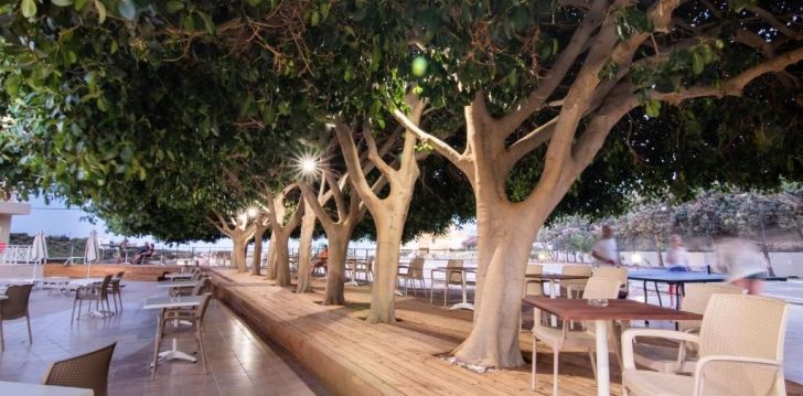 Viešbutis CHRISSYS PARADISE įsikūręs Graikija.
