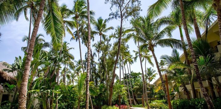 nepraleisk progos pailsėti už gerą kainą - viešbutyje IMPRESSIVE RESORT & SPA PUNTA CANA