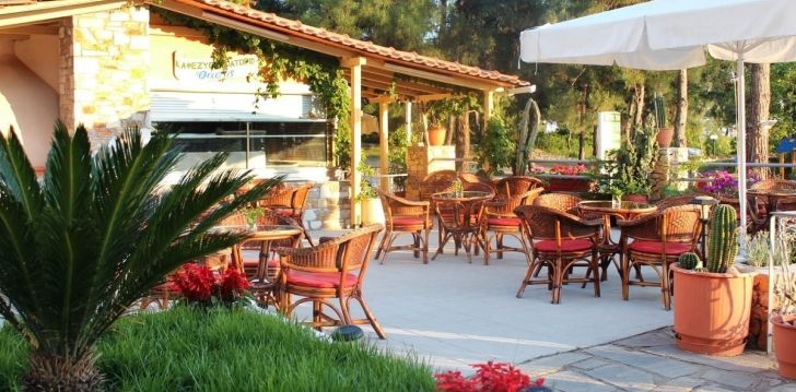 THASSOS - klientų vertinamas, kaip geras kainos ir kokybės santykis. 