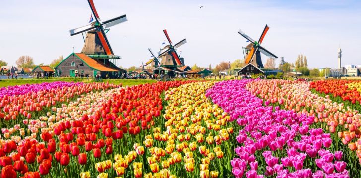 patogus viešbutis jūsų kelionei – 4* NH AMSTERDAM ZUID