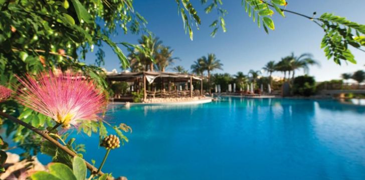 apgyvendinimas 5* THE GRAND HOTEL SHARM EL SHEIKH
