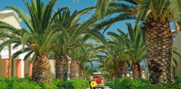 ALDEMAR KNOSSOS ROYAL - klientų vertinamas, kaip geras kainos ir kokybės santykis. 
