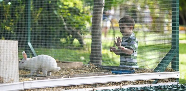 geras kainos ir kokybės santykis atostogoms - viešbutis LYCUS BEACH HOTEL