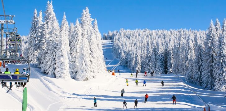 Slidinėjimo kelionės dviems, šeimoms, solo